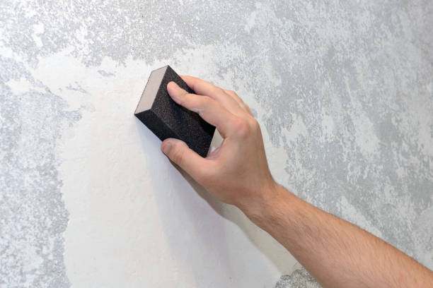 Best Mold Prevention Services  in Waawa, HI