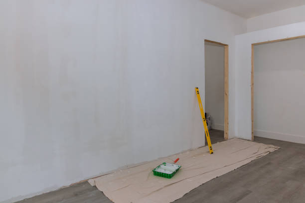 Best Black Mold Removal  in Waawa, HI