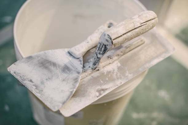 Mold Remediation for Vacation Homes in Wahiawa, HI